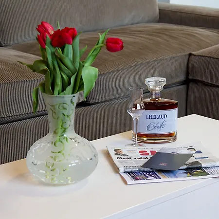 Отель Kongres Roca 3*